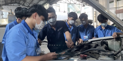 Các môn học được lựa chọn theo định hướng nghề nghiệp như thế nào?