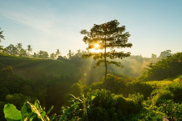 meo thay doi de thanh cong 1
